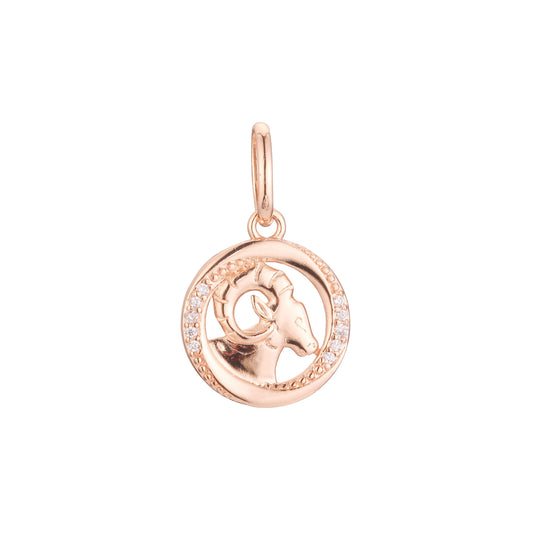 Constellation Zodiac constellation Rose Gold two tone pendant - portrait Sign