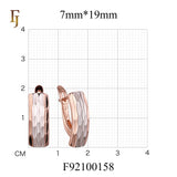 Earrings in 14K Gold, Rose Gold, two tone plating colors