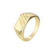 Men's signet rings in 14K Gold, Rose Gold plating colors