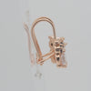 Gold Child Earrings – Owl Design Wire Hook with CZ Eyes & Body | Cute Non-Tarnish Jewelry by FJ
