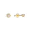 Solitaire 6 claws white cz 14K Gold Stud Earrings