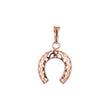 Horseshoe pendant in Rose Gold, 14K Gold plating colors