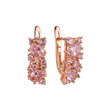 .Роскошные серьги Colorful Cluster CZ, покрытые 14-каратным золотом, розовым золотом.
