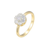 Ringe aus Ros¨¦gold, zweifarbig plattiert