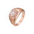 Herren-Siegelringe aus schwarzem, ?lbemaltem Ros¨¦gold